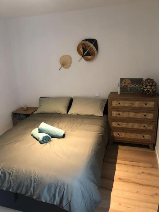 Appartement Cosy-Grand Stade Villeneuve D'Ascq Lezennes Exterior foto